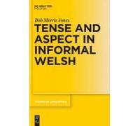 Tense And Aspect In Informal Welsh