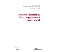 Tensions identitaires et accompagnement professionnel – L'Harmattan