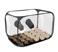 Tent de pousse des champignons | Effacer la fenêtre de visualisation et la ventilation | Environnement pliable encore Air | Kit de culture intérieure compacte | Cultivation des champignons d'apparteme