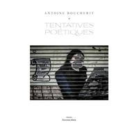 Tentatives poétiques