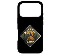 Tente de Camping pour Chat Noir Coque pour iPhone 17 Pro