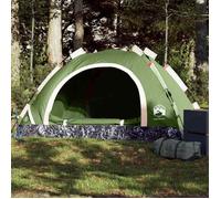 Tente de camping - vidaXL - 2 personnes - Imperméable - Système de dégagement rapide - Vert