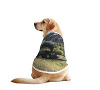 Tenue à manches pour chien avec motif locomotive à vapeur - Lavable en machine - Pour chiens de taille moyenne et grande