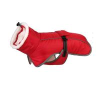 Tenue coupe-vent chaude pour petit manteau pour l'hiver - Cadeau idéal pour chiot - Tenue coupe-vent pour animal domestique