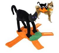 Tenue de Chien Chevalier pour Jack Russell Terrier | Dog Knight Cosplay Gear pour Petites Races | Costume de Chevalier médiéval pour Grands Chiens, Costume de Chien Chevalier pour événements à thème