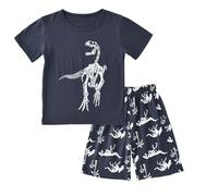 Tenues d'été pour bébés garçons et Tout-Petits, Hauts et Shorts avec Dinosaures de Dessin animé