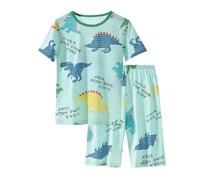 Tenues et Ensembles pour garçons, imprimé excavatrice Dinosaure, col Rond, Taille élastique, Pyjama Confortable, vêtements de Jeu pour Tout-Petits de 12 Mois à 10 Ans Pyjama (Light Green, 3-4 Years)