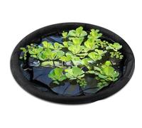 TENYELE Barrière de protection pour plantes flottantes pour étang - Circulaire - Protection contre les poissons