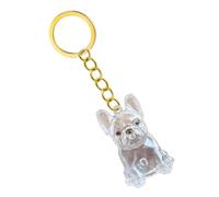TENYELE Porte-clés avec boîte commémorative pour perte d'animaux de compagnie avec rangement transparent pour les propriétaires de deuil - Cadeau de condoléances