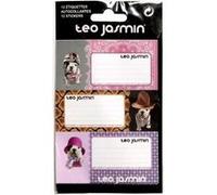 Téo Jasmin- 12 étiquettes autocollantes 8.5 x 3.6 cm G