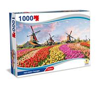 Teorema Giocattoli - Puzzle Paysage Paysage 1000 pièces 70 x 50 cm, Multicolore, Part_B09KH1YMVH