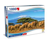 Teorema - Puzzle Afrique Voir du KILIMANGIARO 1000 pièces 70 x 50 cm, Multicolore, 67035