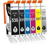 TEPPA-530XXL 531XXL Lot de 6 Cartouches de Rechange pour PGI-530 CLI-531 XXL Compatible avec Les imprimantes Canon Pixma TS8750 TS8751 (PGBK/Noir/Cyan/Magenta/Jaune/Gris)
