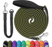 Teppc-Longe Pour Chien Avec Cordon Elastique, Deux Façons D'utiliser, 3m 5m 10m 15m 20m 30m Laisse De Dressage Pour Chien Avec Crochet De Verrouillage Pour Petits, Moyens Et Grands Chiens