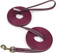Teppc-Longe Pour Chien - Laisse D'entraînement Antidérapante Et Robuste Pour Le Suivi, Le Camping, Les Jeux Et Le Jardin Bordeaux 10 M