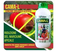 TEPPE-FITOKEM CAMA-L - Engrais pour Tomates et Légumes Contre la Pourriture Apicale (1 kg) Engrais Liquide pour Potager Engrais à Base d'Azote, de Magnésium et de Calcium, Protège, Augmente la Produc
