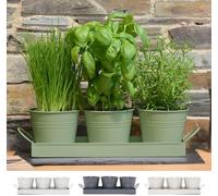 TEPPE-Lot de 3 pots de fleurs en métal avec plateau d'égouttement pour intérieur traditionnel pour rebord de fenêtre coloré pour la cuisine, cultivez vos propres herbes pour la cuisine (vert sauge)