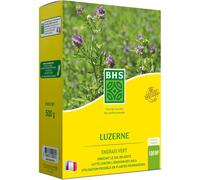 Teppe-Luz500, 500g, 100 M², Luzerne, Améliore La Structure Du Sol, Résiste Au Froid Et À La Sécheresse, Très Riche En Protéines, Minéraux, Oligo-Éléments Et Vitamines Homogène
