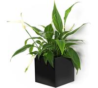 TEPPE-Sgaravatti Cube, Pot Magnétique, Ø 9 cm, Noir