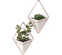 Teppe-Trigg Jardinière Suspendue Et Décoration Murale Géométrique Pour Petite Plante, Plante Succulente Et Bien Plus Encore, Béton/Cuivre, Lot De 2