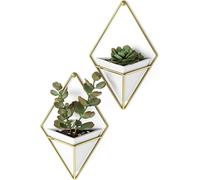 Teppe-Trigg Jardinière Suspendue Et Décoration Murale Géométrique Pour Petite Plante. Plante Succulente Et Bien Plus Encore. Blanc/Laiton. Lot De 2