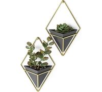 Teppe-Trigg Jardinière Suspendue Et Décoration Murale Géométrique Pour Petite Plante. Plante Succulente Et Bien Plus Encore. Noir/Laiton. Lot De 2