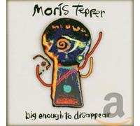 Tepper, Moris - Big Enough to Disappear