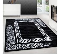 Teppium Tapis de Salon Design Méandres Noir 240x340 cm Moderne Tapis Moelleux