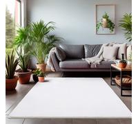 Teppium Tapis de Salon en Peluche Uni Blanc, Toucher Doux et Facile d'Entretien - 80 x 150 cm rectangulaire