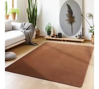 Teppium Tapis de salon, lavable, à poils courts, antidérapant, moelleux, doux, couleur unie marron, aspect fourrure, super doux, dimensions : 240 x 340 cm