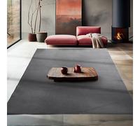 Teppium Tapis de salon, lavable, à poils courts, antidérapant, moelleux et doux, couleur unie gris, aspect fourrure, super doux, dimensions 160 x 230 cm