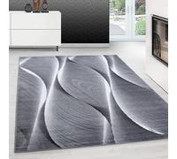 Teppium Tapis de salon moderne à poils courts - 120 x 170 cm - Noir - Lavable - Design ombré - Facile d'entretien et doux - Idéal pour la chambre à coucher, la salle à manger et comme tapis de cuisine