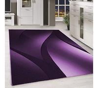 Teppium Tapis de salon moderne à poils courts - 140 x 200 cm - Violet - Moelleux - Lavable - Design ombré - Facile d'entretien - Doux - Idéal pour la chambre à coucher, la salle à manger et comme