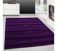 Teppium Tapis de salon moderne à poils courts 160 x 230 cm Violet moelleux lavable couleur unie facile d'entretien doux