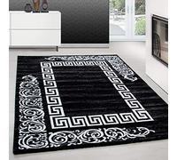 Teppium Tapis de salon moderne à poils courts - 250 x 350 cm (240 x 340 cm) - Noir - Moelleux - Lavable - Design méandre - Facile d'entretien - Doux - Idéal pour chambre à coucher, salle à manger et