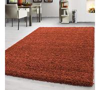 Teppium Tapis de salon moderne à poils longs, 160 x 230 cm, terre cuite, moelleux, extra doux, facile d'entretien, uni