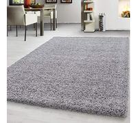 Teppium Tapis de salon moderne à poils longs - 300 x 400 cm - Gris clair - Moelleux - Facile d'entretien - Pour chambre à coucher, cuisine et salle à manger