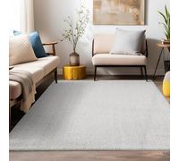 Teppium Tapis de Salon Moderne et Robuste Tapis à Boucles Mélangées Uni avec Structure, Tapis Décoratif Cut-Loop pour Une Touche d'Élégance, Taille: 200 x 290 cm, Couleur: Argent