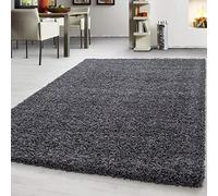 Teppium Tapis de salon moderne longs poils gris - moelleux, doux, facile d'entretien, couleur unie - chambre à coucher, cuisine, salle à manger