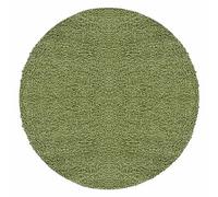 Teppium Tapis de salon moderne, shaggy, 160 cm, rond, vert, moelleux, extra doux, facile d'entretien, uni