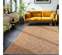 Teppium Tapis d'extérieur résistant aux intempéries de Style scandinave avec Design Losange, Tapis pour Balcon, terrasse, véranda Taille: 120 x 170 cm, Couleur: Cuivre-2