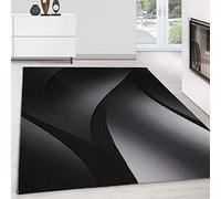 Teppium Tapis Salon Moderne Tapis Chambre Noir-6 300x400 (280 x 370 cm) - Tapis à Poils Courts, a Poil Ras, Conception Abstrait Moelleux et Doux - Tapis Cuisine Moquette Salle de Sejour