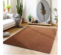 Teppium Tapis salon 140x200 cm Marron Uni moderne et moelleux à poil court avec sous-couche antidérapante lavable