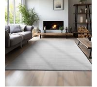 Teppium Tapis salon 160x200 cm Argent Uni moderne et moelleux à poil court avec sous-couche antidérapante lavable