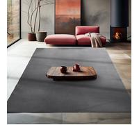 Teppium Tapis salon 240x340 cm Gris Uni moderne et moelleux à poil court avec sous-couche antidérapante lavable