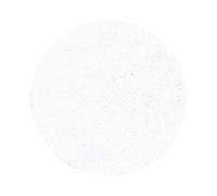 Teppium Tapis Salon Moderne Adulte Blanc 200 cm Rond - Shaggy Poil Long Moelleux et Doux - Conçu pour Salle de Séjour et Cuisine