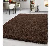 Teppium Tapis Salon Moderne Adulte Chambre Brun 120 x 170 cm - Shaggy Poil Long Moelleux et Doux - Concevoir Salle de Séjour Cuisine
