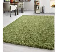 Teppium Tapis Salon Moderne Adulte Vert 80 x 150 cm - Shaggy Poil Long Moelleux et Doux - Tapis de Salle de Séjour et Cuisine
