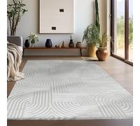 Teppium Tapis Salon Moderne Argent 140 x 200 cm - Effet 3D Style Scandinave, Motif Bohème Scandínave Moelleux et Doux - Tapis Cuisine Moquette Salle de Sejour