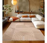 Teppium Tapis Salon Moderne Rose 120 x 170 cm - Poils Courts, Style Scandinave, Conception Bohème Moelleux et Doux - Pour Chambre, Cuisine, Salle de Séjour